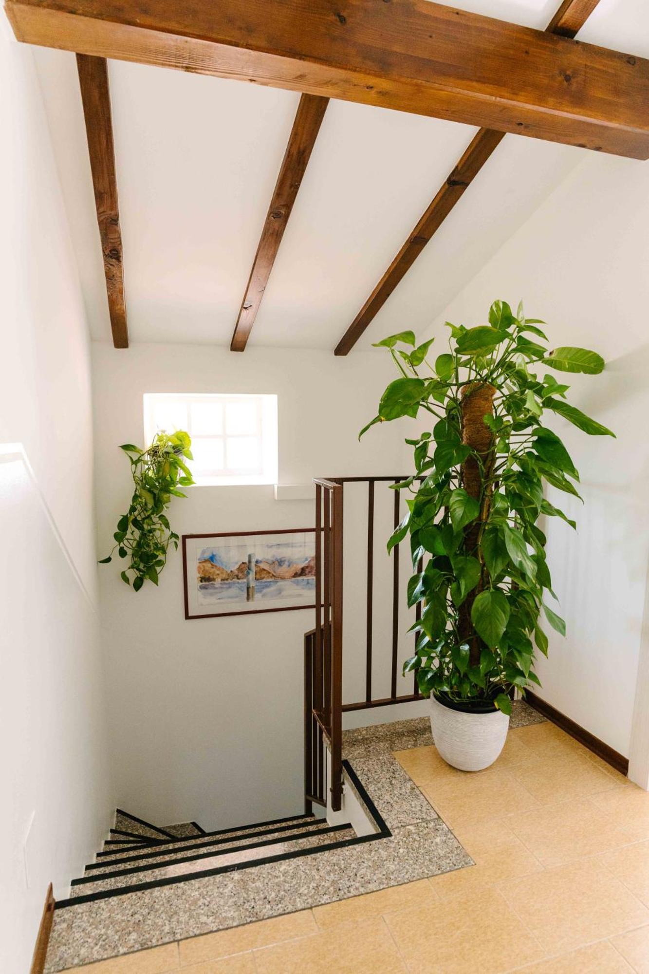 B&B Spina Verde Como Dış mekan fotoğraf
